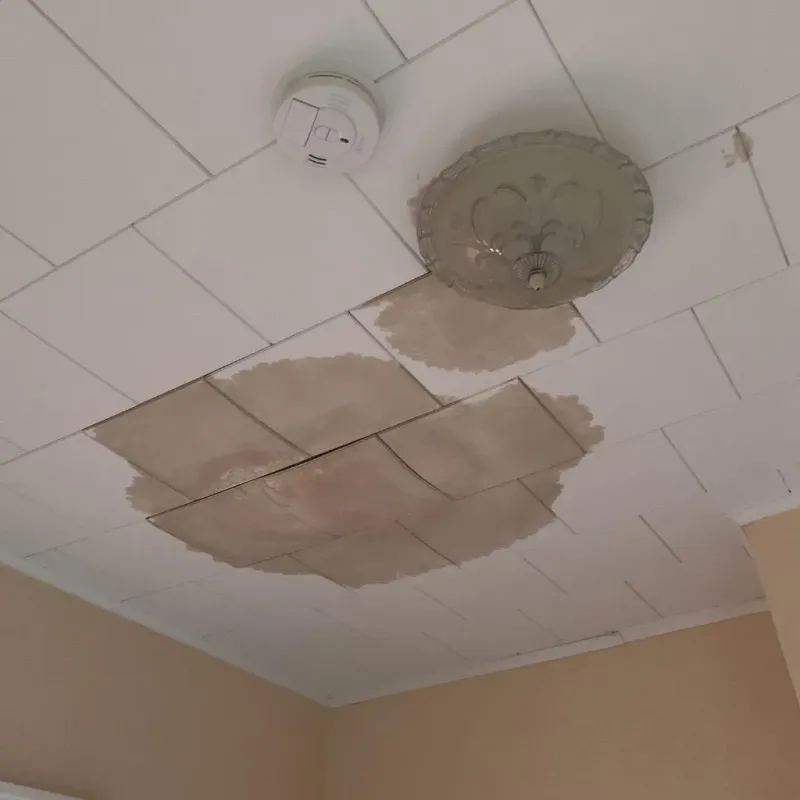 Ceiling Water Damage Repair in Wetumpka, AL